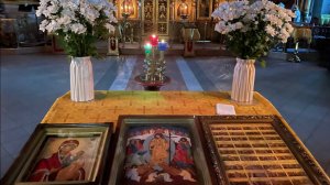 Проповедь прот. Николая Германского. Притча о сеятеле. 26.10.2025г.