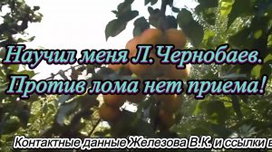 Научил меня Л.Чернобаев. Против лома нет приема!