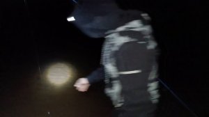 РЫБАЛКА НА НАЛИМА С КОМФОРТОМ! РЕКА ЧЕПЦА