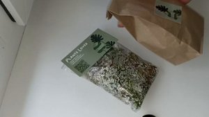 Хоечный обмен и подарочки.
