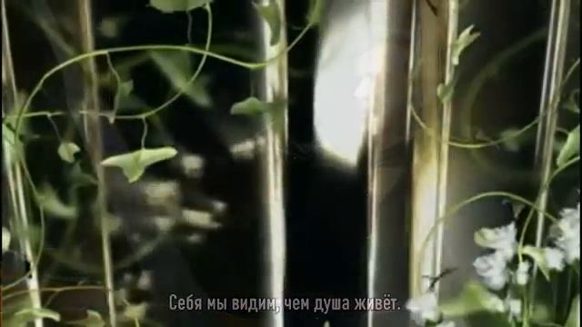 Зеркала смотреть онлайн