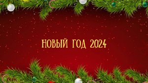 Влог. 31.12.2024