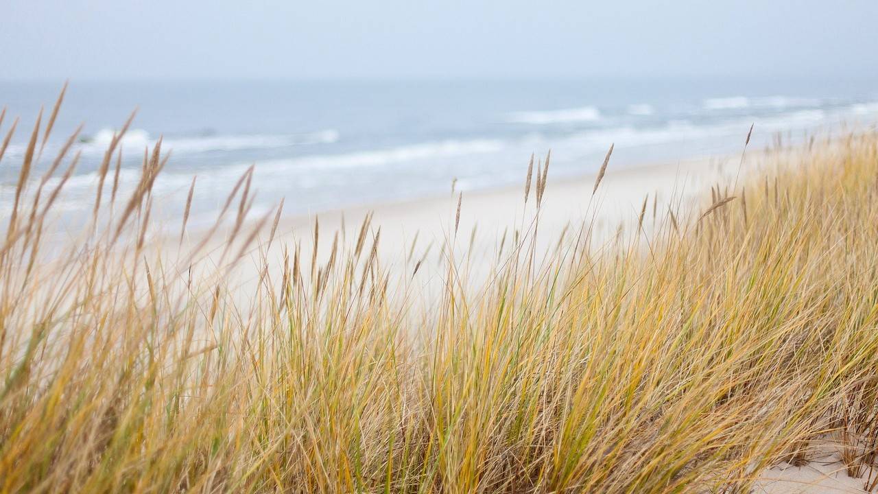 MUDRUNNER: карта СУХОЕ МОРЕ ( автор С. Киличенко ) 4К смотреть онлайн