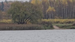 ОСЕНЬ 2025 ALPINA GT430Р