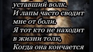 "Уставший но не сломанный Волк'
