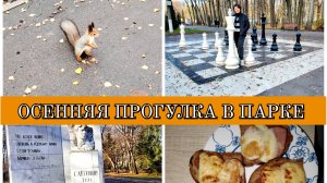 26-10-2025 НАГОТОВИЛА😋ПРОГУЛКА В ПАРКЕ🍁СМЕШНЫЕ БЕЛКИ🐿️ВАНЯ И ЕСЕНИН😁БЛИНЫ ОТ МАШИ🥞
