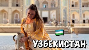 #5 ИЗ ТАШКЕНТА В БУХАРУ НА ШАРКЕ || ОТЕЛЬ Naqshband в БУХАРЕ