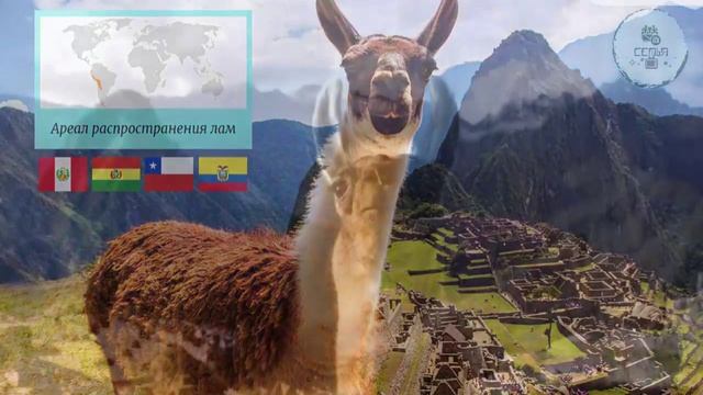 Уроки ГЕОГРАФИИ Путешествуем по Южной Америке 5 класса