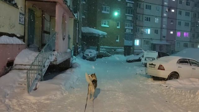 Арктическая тоска | Норильск | Зима | 2024