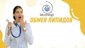 Обмен липидов