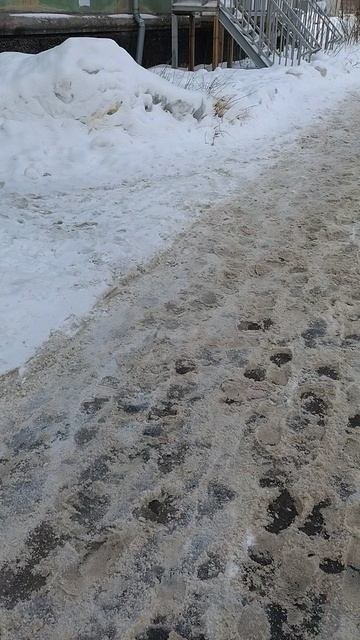 №206. ул. Полины Осипенко. 7 марта 2025 г., 10:49:38. VID_20250307_104813010