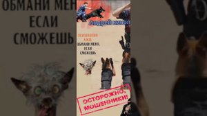 Там где ложками копали.