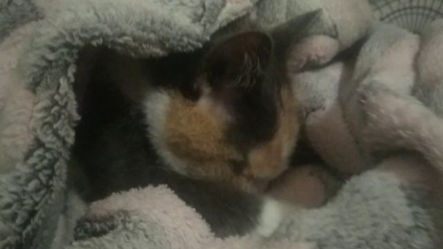 YouCut_20230909_233900427