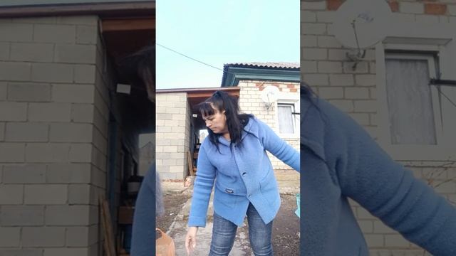 1000220678.mp4Т.89020931603 смотреть онлайн