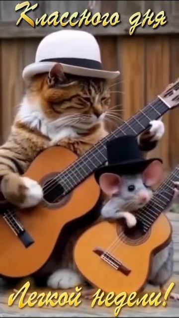 Лёгкой недели🙂🌹 смотреть онлайн