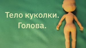 Тело куколки. Голова.