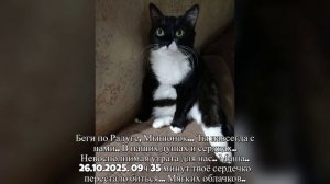 моя маша. Беги по Радуге, Мышонок...