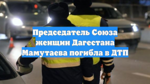 Председатель Союза женщин Дагестана Мамутаева погибла в ДТП
