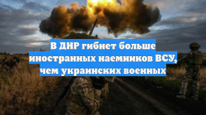 В ДНР гибнет больше иностранных наемников ВСУ, чем украинских военных
