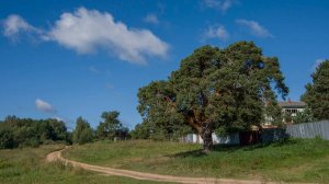 Без тебя научилась я жить _авторская песня)