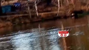 утки в ококтябре