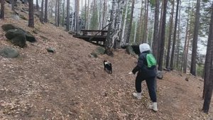 Мыс Гамаюн и эко тропа Каменная чаша. Достопримечательности Екатеринбурга и Свердловской области