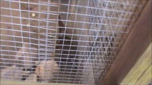 17.05.25 Посещение Ярославского зоопарка