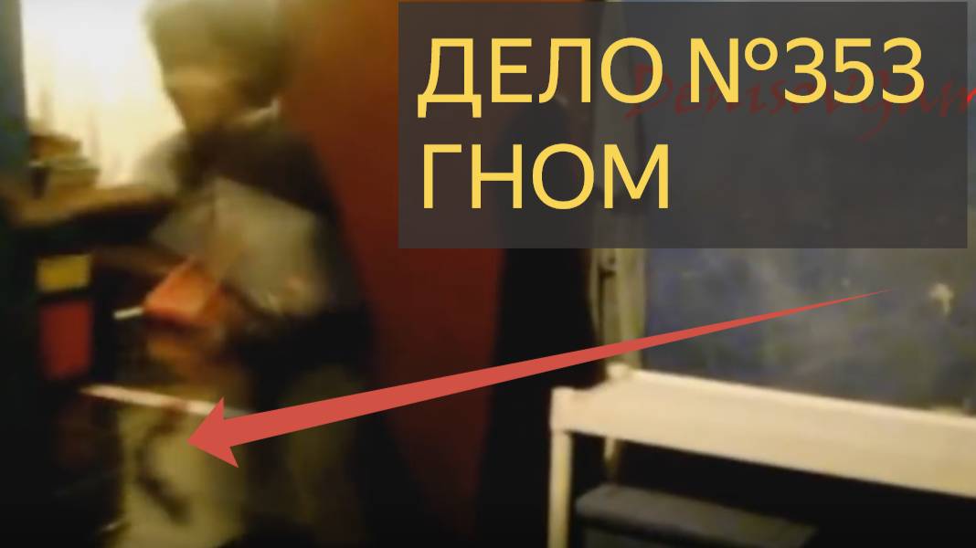 Гном (Дело №353)