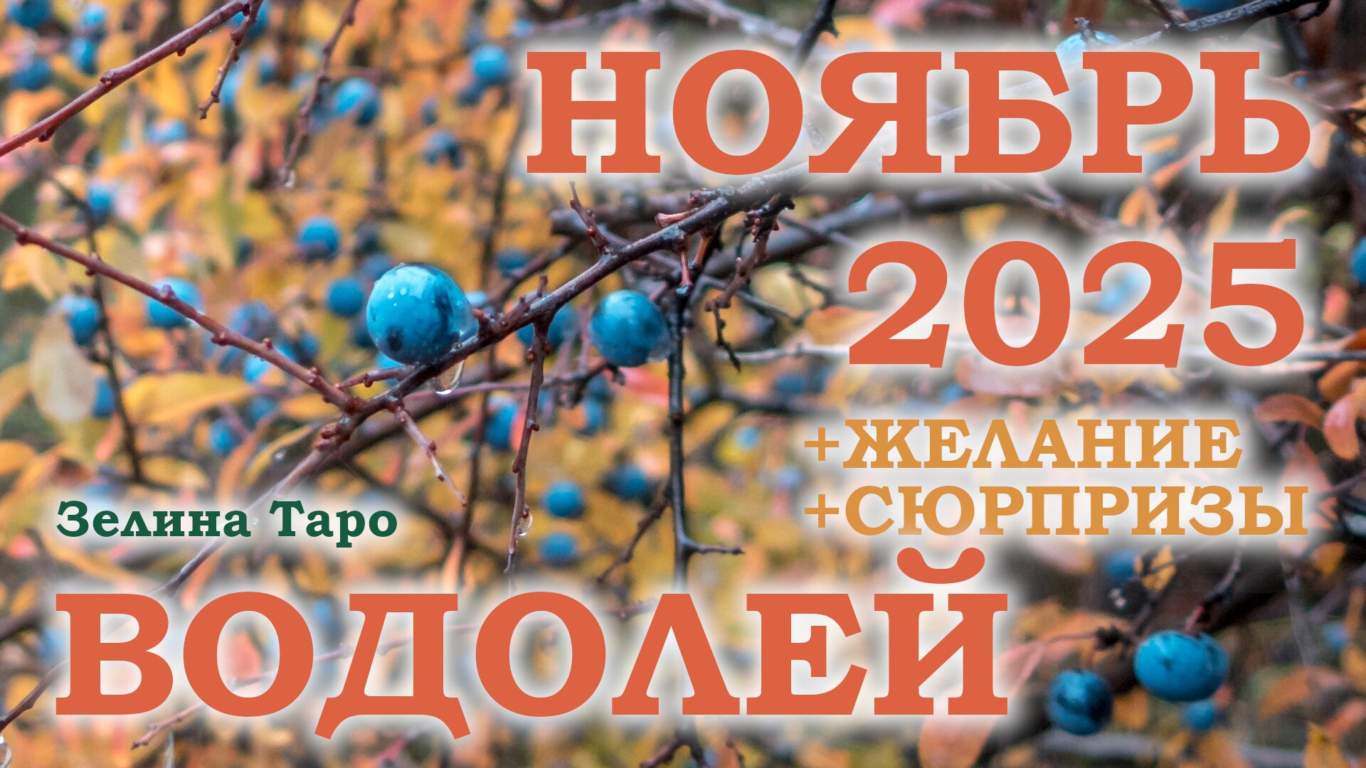 ВОДОЛЕЙ | ТАРО прогноз на НОЯБРЬ 2025 года | Желание | Сюрпризы | Расклад таро
