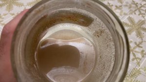 Закваска ржаная не работает