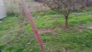 Бизнесу на дровах пришел конец