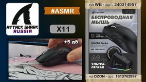 ATTACK SHARK X11 ASMR Clicking Sound | АСМР Клики Мышки | Sound Test