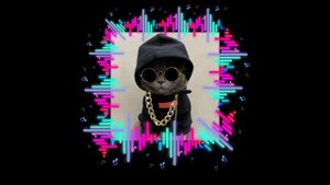 трек Видео для видео МиРоНчИк