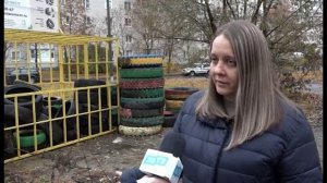 В Заречном перенесли площадку для сбора покрышек