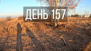 День 157