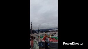 закончили грибной сезон//Таська танцует//Ира играет на гитаре//котики//природа//