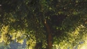 Истории про жизнь - Аудио рассказ -  Случайное знакомство по SMS