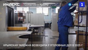 Крымская таможня возбудила 9 уголовных дел в 2025 г.