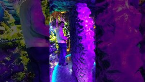 музей Водица-небылица в Санкт-Петербурге