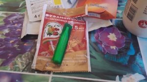 ПОСЛЕДНИЕ ОСЕННИЕ ХЛОПОТЫ, ОБРЕЗАЕМ И ПОДКАРМЛИВАЕМ