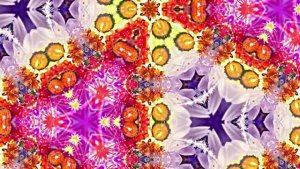 Видеофоны! Видеофон Осенняя цветочная фантазия 4 от Киностудии Мудрого Кота Тимофея!