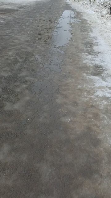 №232. ул. Полины Осипенко. 13 марта 2025 г., 10:00:23. VID_20250313_095857236