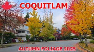 Canada - Fabulous Fall Foliage in Coquitlam British Columbia