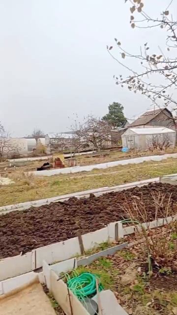 Соколова смотреть онлайн