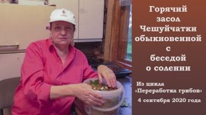 Горячий засол  Чешуйчатки обыкновенной с беседой о солении.