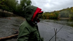 Охота за налимом.