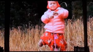 Жнеи, мои жнеи.