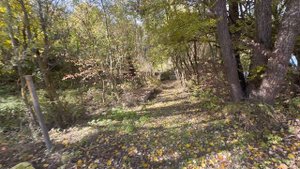 Video_20251027-141211