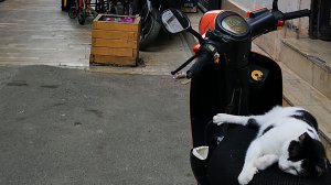 Внезапная Анталия. Ч.7. Бродим по Калеичи. День.