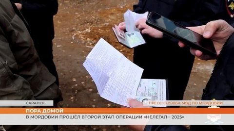 Итоги второго этапа операции «Нелегал – 2025» в Мордовии